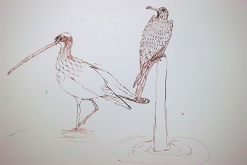 pen